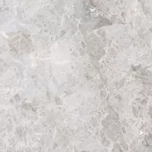 ELEGANT BONE 24x60  100303476