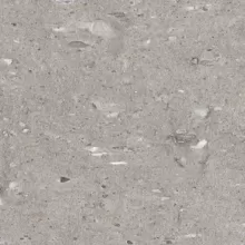 MOONSTONE GREY 12x24 NAT. RT  COEMO122403P