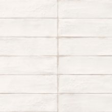 ARCADIA WHITE GLOSSY 2x10  .
