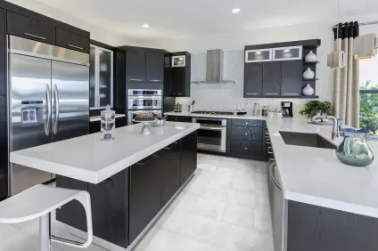 Contemporary Kitchen Design