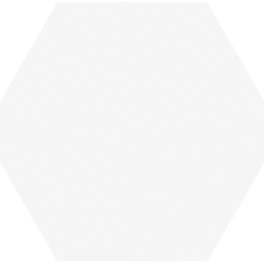 TIMELESS HEXAGON WHITE 6x7 MATTE  .