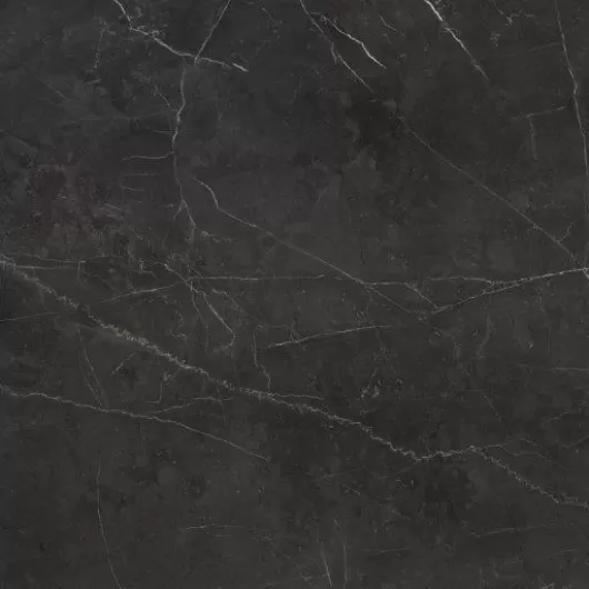 LA MARCA NERO VENATO HONED 24x48  4500-0836-0
