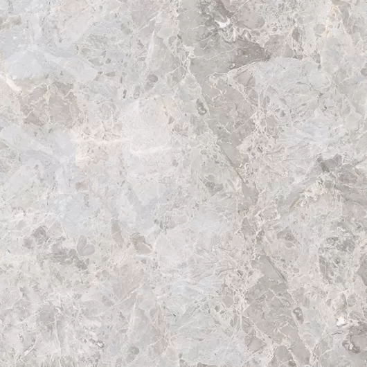 ELEGANT BONE 24x60  100303476