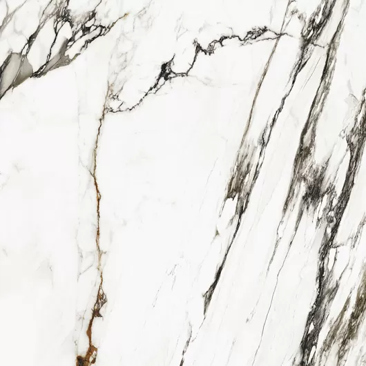 PAONAZZO BIONDO 48x48 POLISHED  100331132