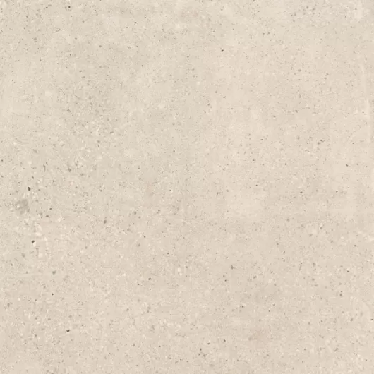 MEMORY MARFIL 12x24 MATTE .