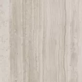 BIOTECH STONEWOOD 24x48 MATTE .