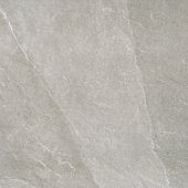 NEXXT TAUPE 24x48 MATTE .